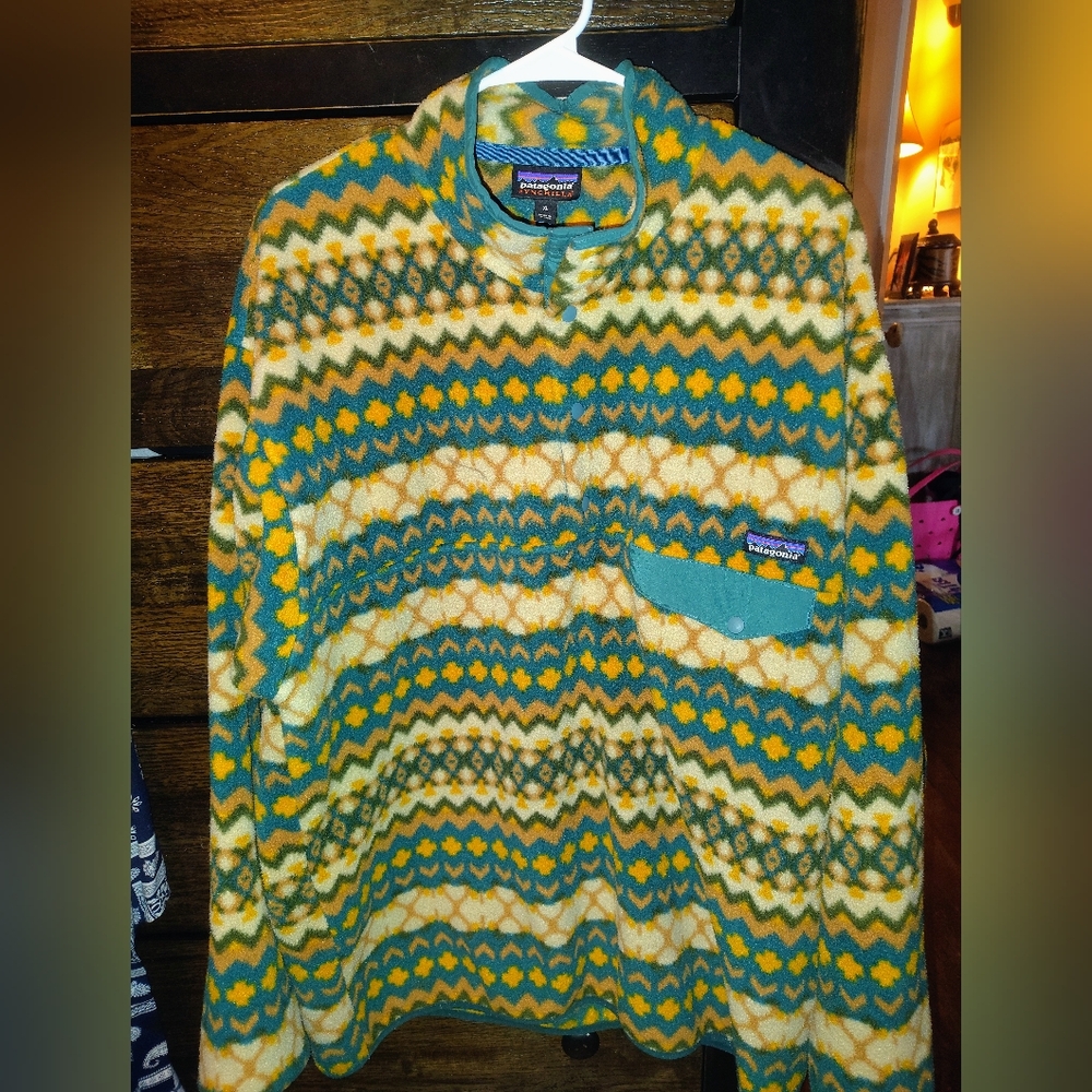Men's Patagonia